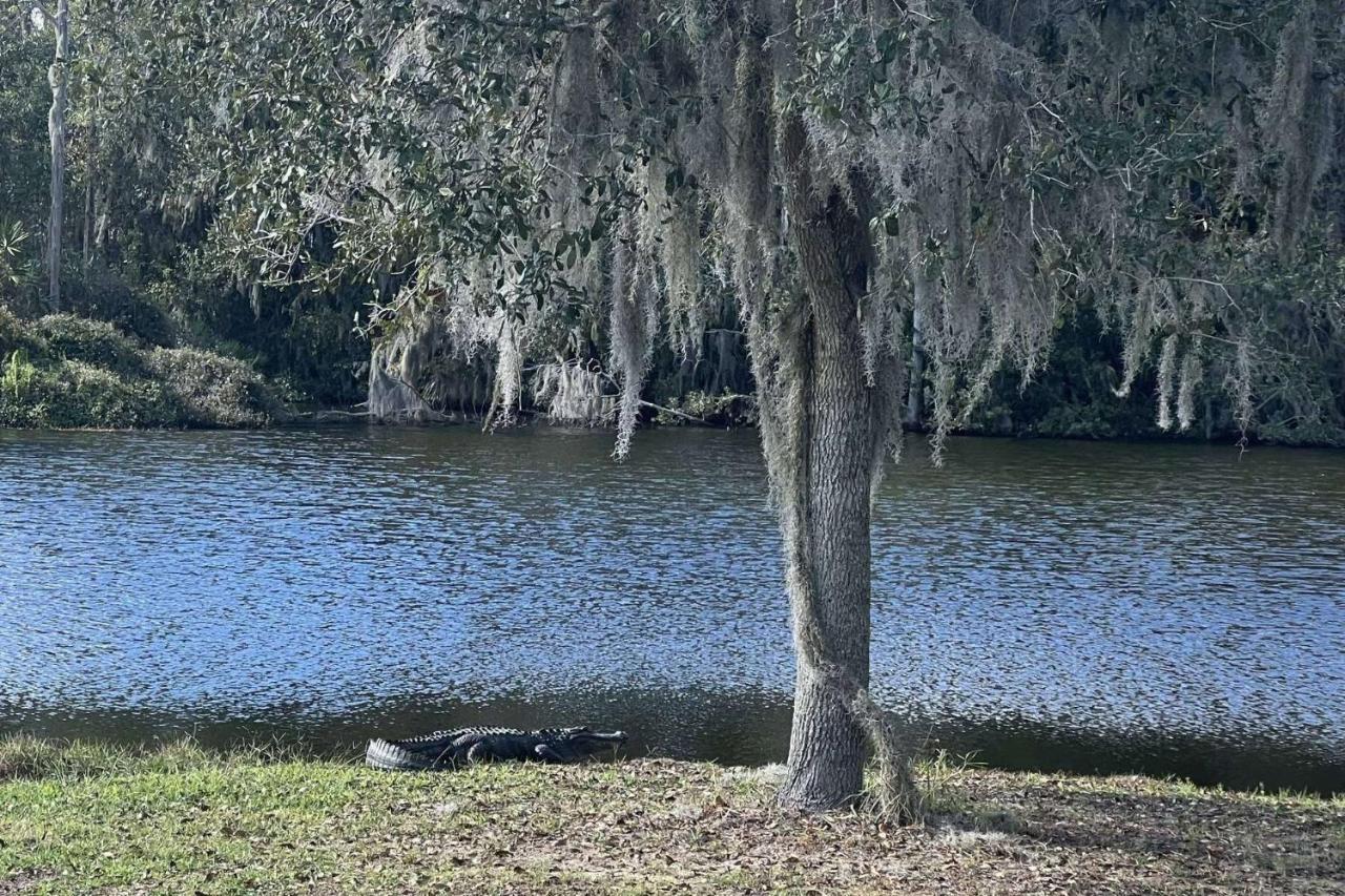 Serene Hideaway Wesley Chapel Exterior photo